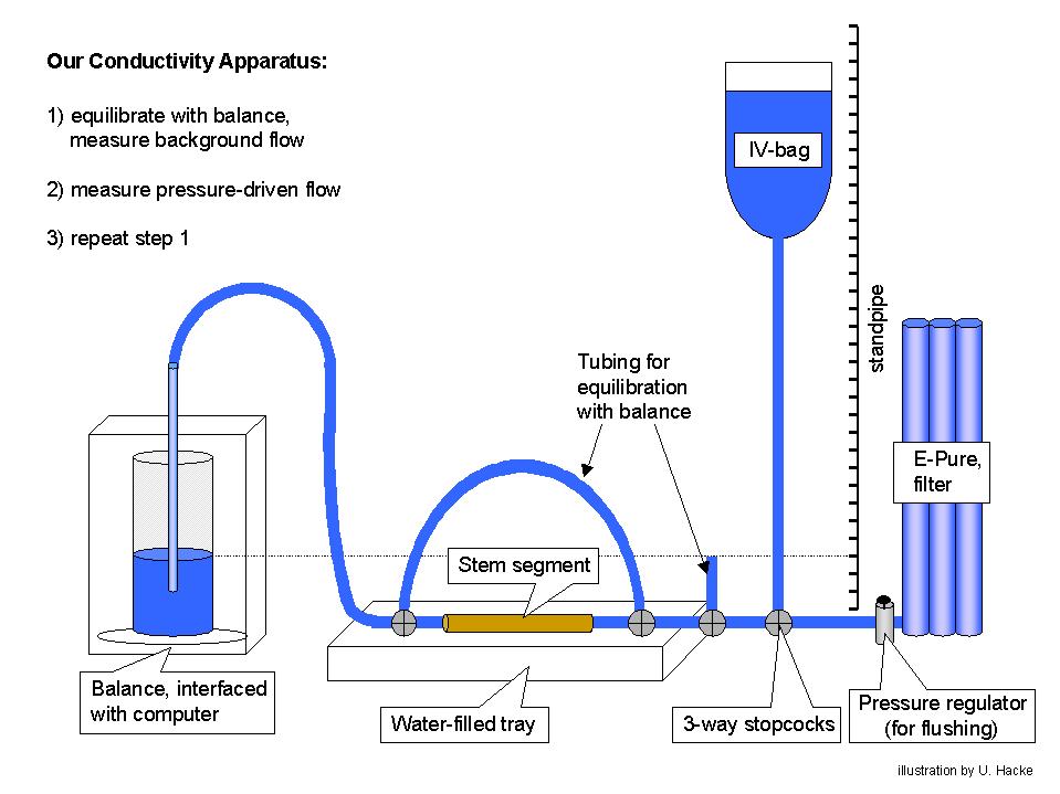 hydraulic pressure measurement